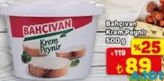 BAHÇIVAN KREM PEYNİR 500 G